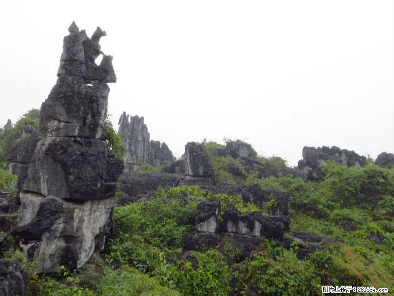 桂林旅游名城景点:灌阳文市石林 - 游山玩水 - 安阳生活社区 - 安阳28生活网 ay.28life.com