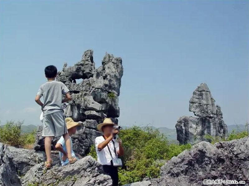 桂林旅游名城景点:灌阳文市石林 - 游山玩水 - 安阳生活社区 - 安阳28生活网 ay.28life.com
