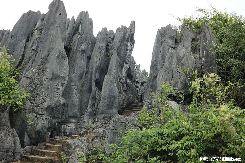 桂林旅游名城景点:灌阳文市石林 - 游山玩水 - 安阳生活社区 - 安阳28生活网 ay.28life.com