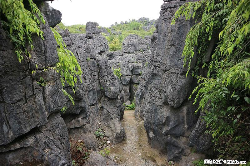 桂林旅游名城景点:灌阳文市石林 - 游山玩水 - 安阳生活社区 - 安阳28生活网 ay.28life.com