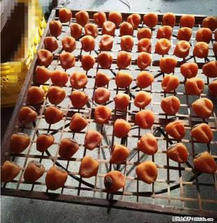 广西桂林平乐桥亭【柿饼之乡】2025年纯手工制作、无任何添加剂的第一批柿饼准备上市了，欢迎联系订购！ - 安阳28生活网 ay.28life.com