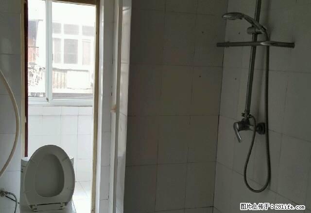 沃尔玛金豪北大街地下城人民医院地区医院附近 3室1卫1厅 - 房屋出租 - 房屋租售 - 安阳分类信息 - 安阳28生活网 ay.28life.com