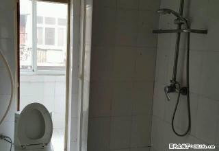 沃尔玛金豪北大街地下城人民医院地区医院附近 3室1卫1厅 - 安阳28生活网 ay.28life.com