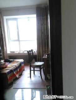 中医院附近，自由路小学附近，沃尔玛附近 - 安阳28生活网 ay.28life.com