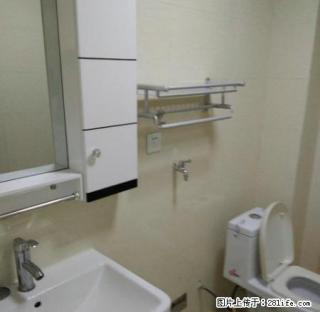 西城旺角,可直接入住,交通便利,繁华地段,南北通透,优质小区 - 安阳28生活网 ay.28life.com