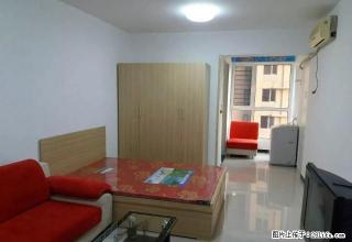 翌琦新印象 经典一室精装可拎包入住 - 安阳28生活网 ay.28life.com