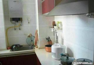 大一室一厅一卫。装修好。设备齐全。拎包入住。小区环境好。 - 安阳28生活网 ay.28life.com