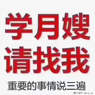 【招聘】月嫂，上海徐汇区 - 安阳28生活网 ay.28life.com