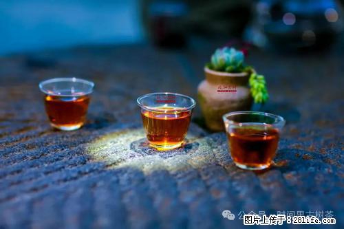 时间果百年古树2025年春红茶 - 购物交流 - 安阳生活社区 - 安阳28生活网 ay.28life.com