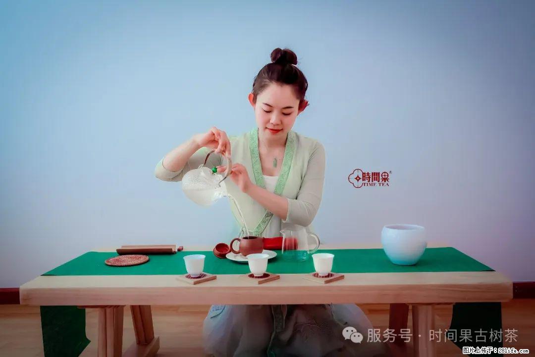 时间果百年古树龙珠普洱生茶 - 购物交流 - 安阳生活社区 - 安阳28生活网 ay.28life.com