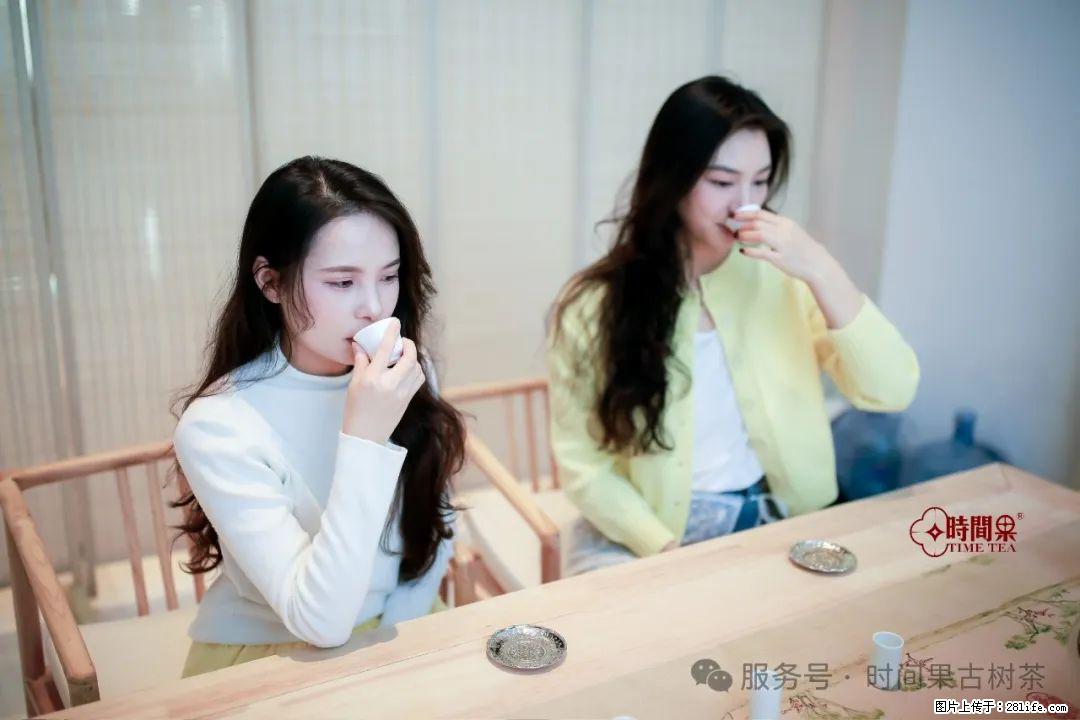 时间果百年古树龙珠普洱生茶 - 购物交流 - 安阳生活社区 - 安阳28生活网 ay.28life.com