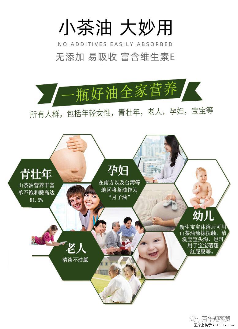 世界没有真相,只有认知,最好的食用油是中国的山茶油! - 安阳生活资讯 - 安阳28生活网 ay.28life.com