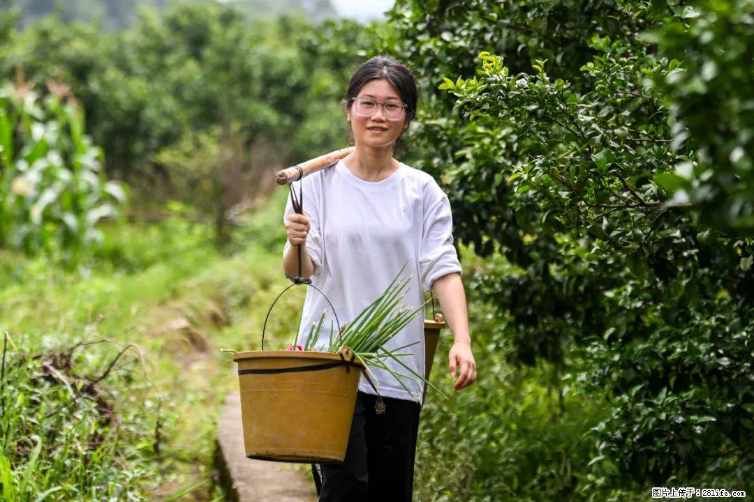 全网追的“扁担女孩”,找了一份暑假工,时薪12元 - 安阳生活资讯 - 安阳28生活网 ay.28life.com