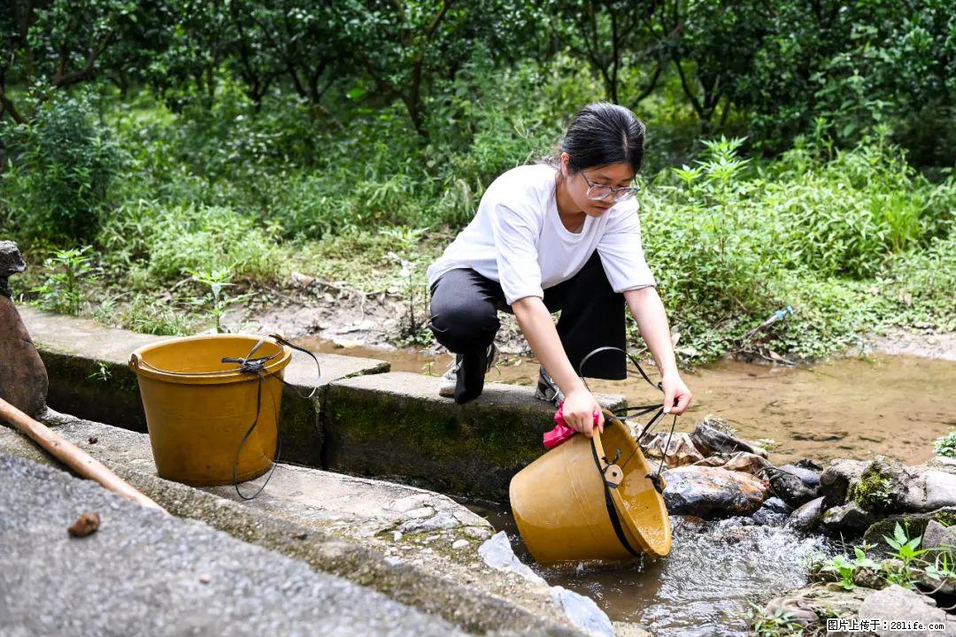 全网追的“扁担女孩”,找了一份暑假工,时薪12元 - 安阳生活资讯 - 安阳28生活网 ay.28life.com