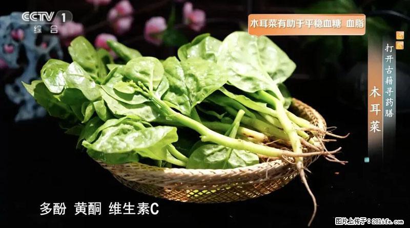 比牛奶补钙还厉害!凉血解毒、稳血糖...这菜冬天必吃,很多人却当草 - 安阳生活资讯 - 安阳28生活网 ay.28life.com