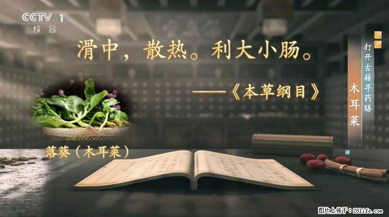 比牛奶补钙还厉害!凉血解毒、稳血糖...这菜冬天必吃,很多人却当草 - 安阳生活资讯 - 安阳28生活网 ay.28life.com