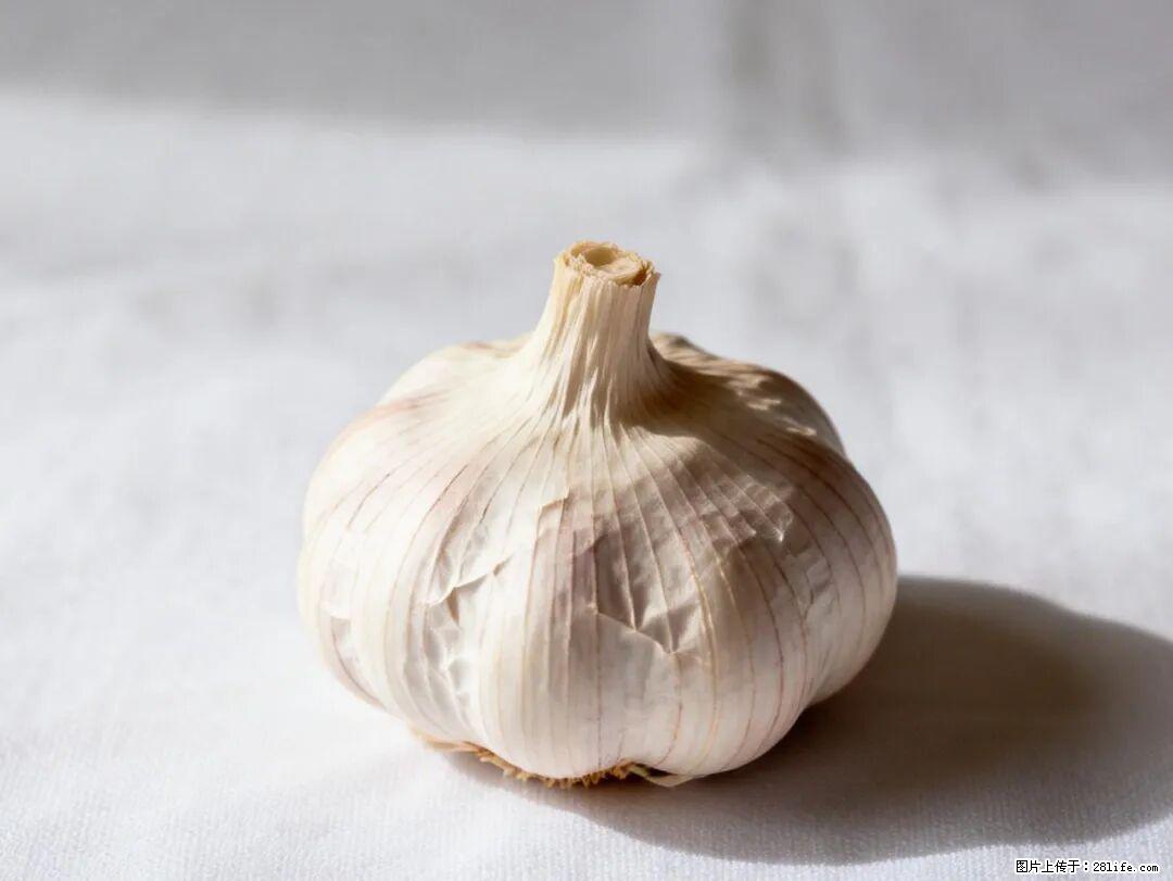 关于大蒜，除了“天然抗生素”，这4个谣言更该警惕! - 安阳生活资讯 - 安阳28生活网 ay.28life.com