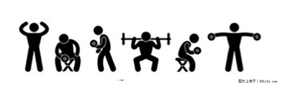 坚持这种运动6个月，心脏有了显著变化！不是跑步，也不是走路 - 安阳生活资讯 - 安阳28生活网 ay.28life.com