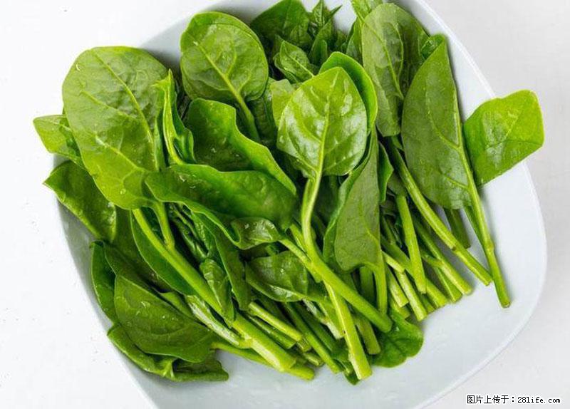 这些蔬菜是“天然钙片”，这6种被医生重点推荐 - 安阳生活资讯 - 安阳28生活网 ay.28life.com