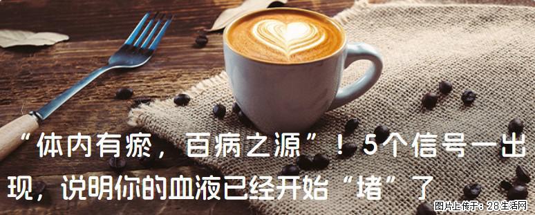 “体内有瘀，百病之源”！5个信号一出现，说明你的血液已经开始“堵”了 - 安阳生活资讯 - 安阳28生活网 ay.28life.com